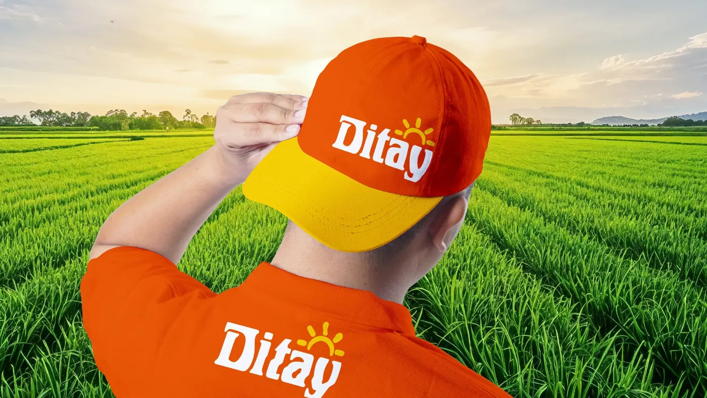 Ditay